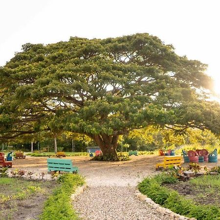 Hacienda La Huerta, Puerto Plata别墅 外观 照片