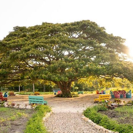 Hacienda La Huerta, Puerto Plata别墅 外观 照片