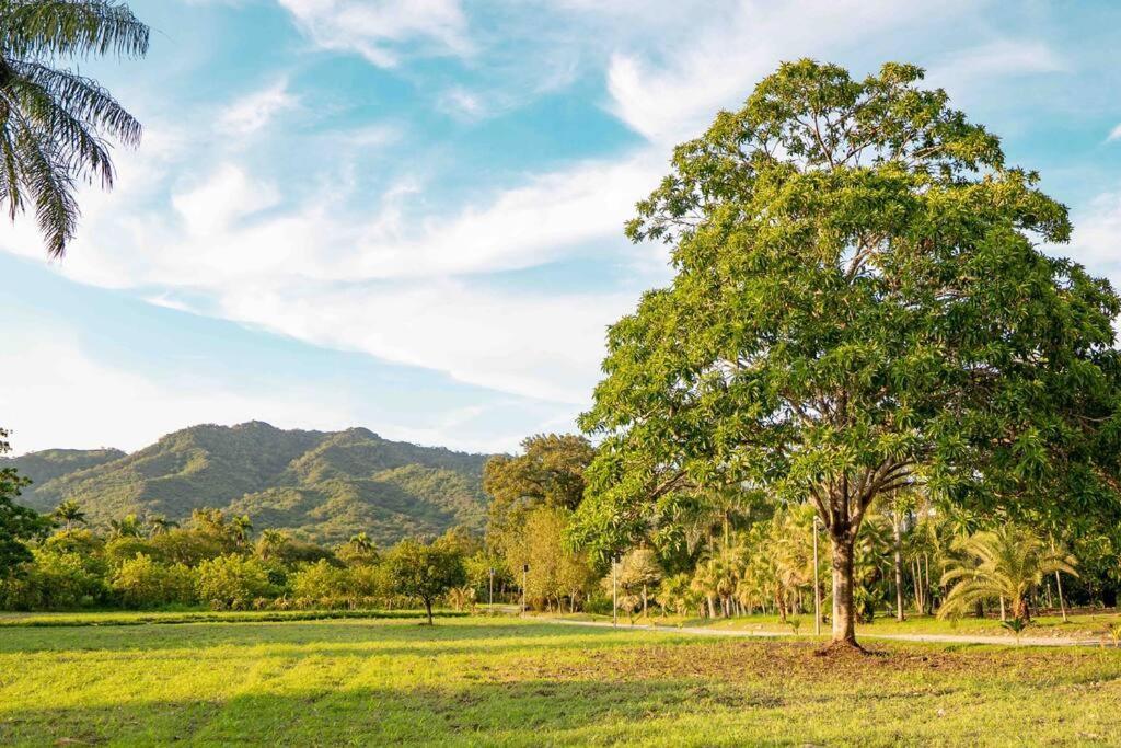 Hacienda La Huerta, Puerto Plata别墅 外观 照片